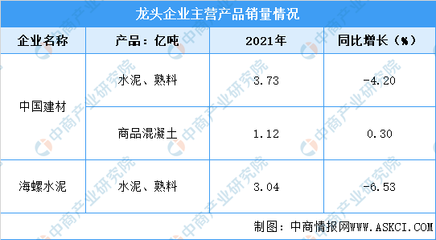 2022年中国水泥行业上市龙头企业市场竞争格局分析(图)